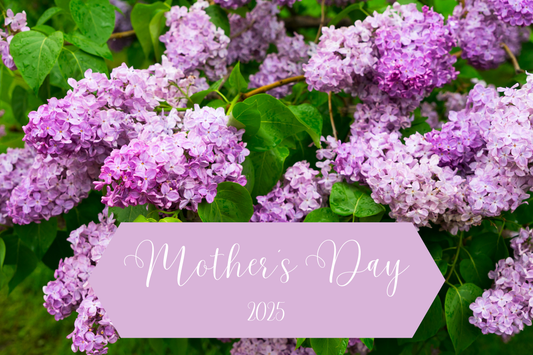 Roots, Wings, and the Women Who Raised Us