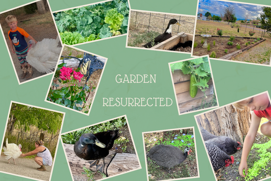 How the Flock Saved the Farm
