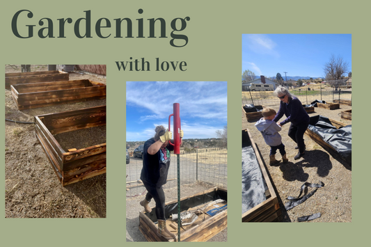 Starting Our First Garden: Digging Into the Dirt
